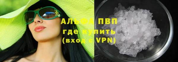 шишки Абаза