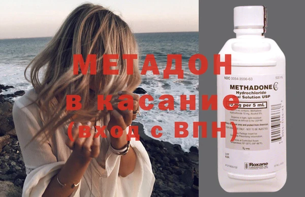 шишки Абаза