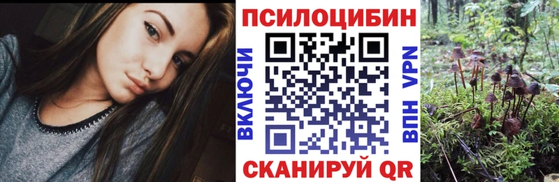 Галлюциногенные грибы GOLDEN TEACHER Сухой Лог
